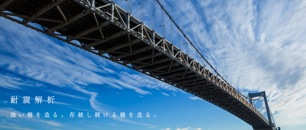 TIPコンサルタント株式会社 | 千葉県千葉市の橋梁設計・土木構造解析のコンサルタント